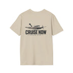 Cruise Now. Explain Later.